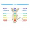 THE MOUSE YOGA:  Sun and Moon Salutations