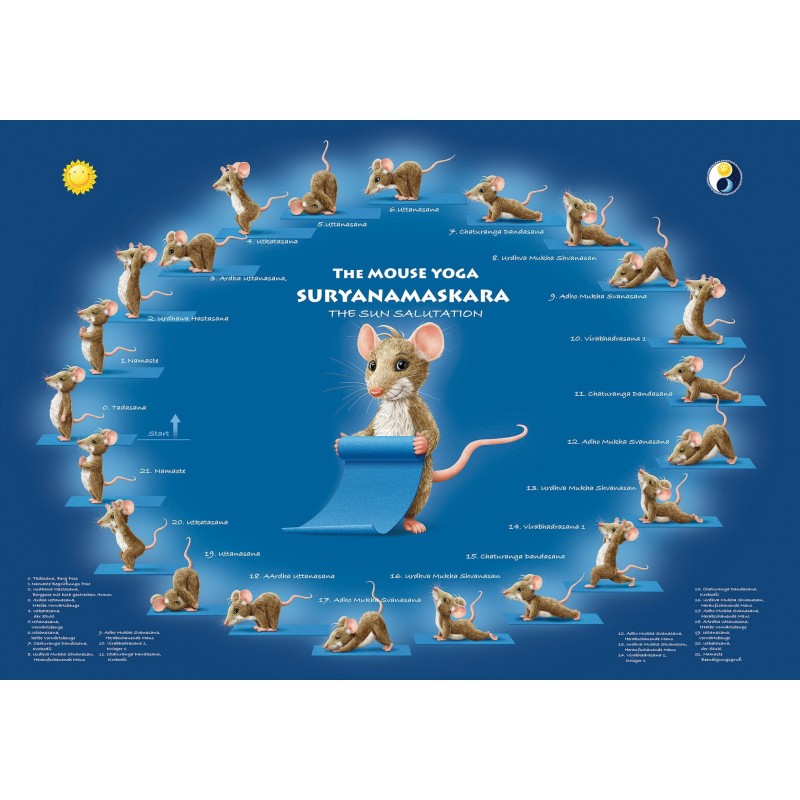 100x70 Yoga Übungsposter Suryanamaskara Englisch