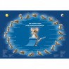 100x70 Yoga Exercise poster Suryanamaskara English