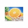 Citrus puzzle 252 pcs