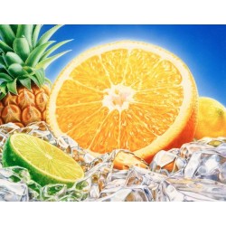 Citrus Puzzle 252 pcs