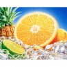 Citrus puzzle 252 pcs